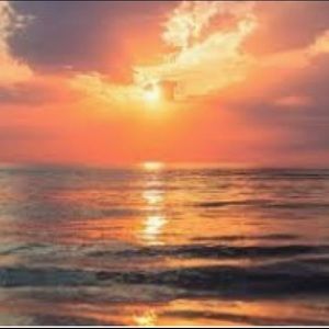 Meet your Posher, Tonia